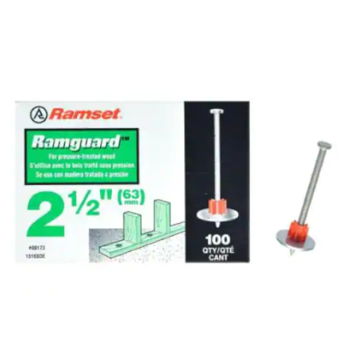 100-Pack Ramguard 2-1/2 in. Drive Pins with Washers